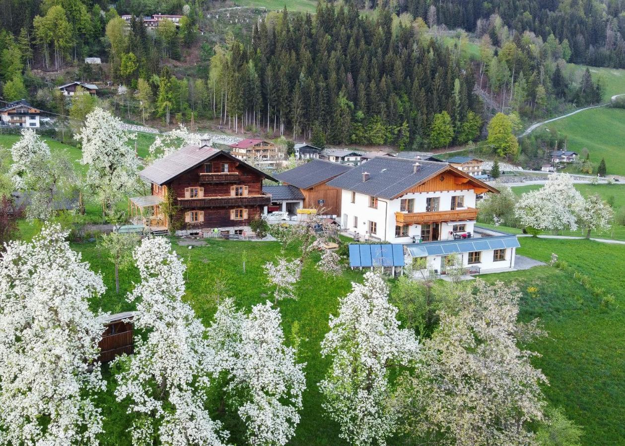 Ferienhaus Bognerhof Sankt Veit im Pongau Eksteriør billede